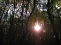 Duminica dimineata 008